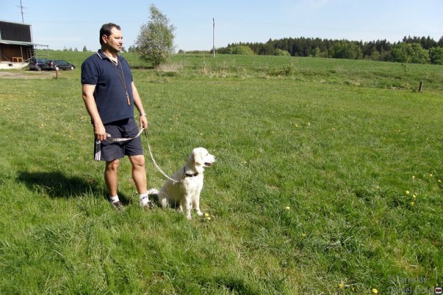 img00001.jpg