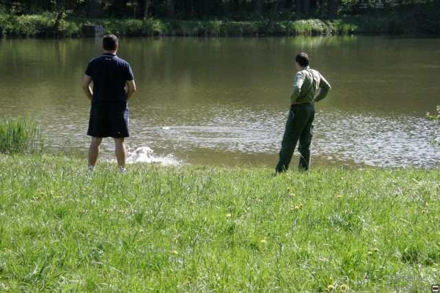 img00006.jpg