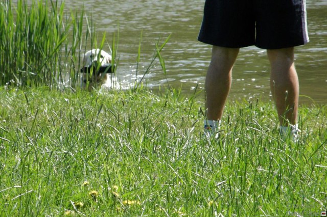 img00007.jpg