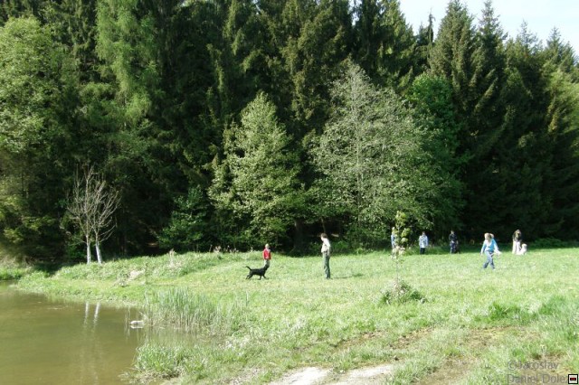 img00009.jpg
