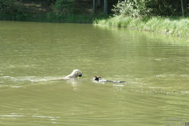 img00011.jpg