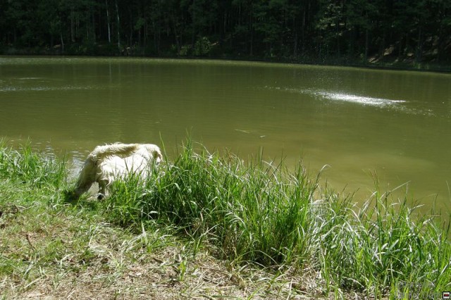 img00012.jpg