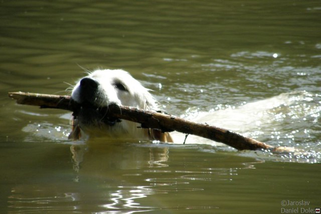 img00013.jpg