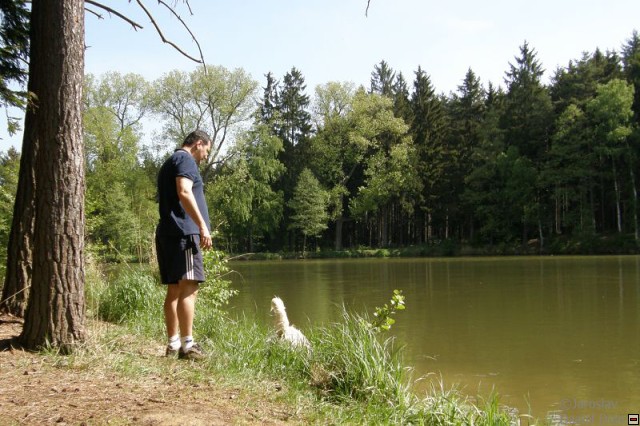 img00015.jpg