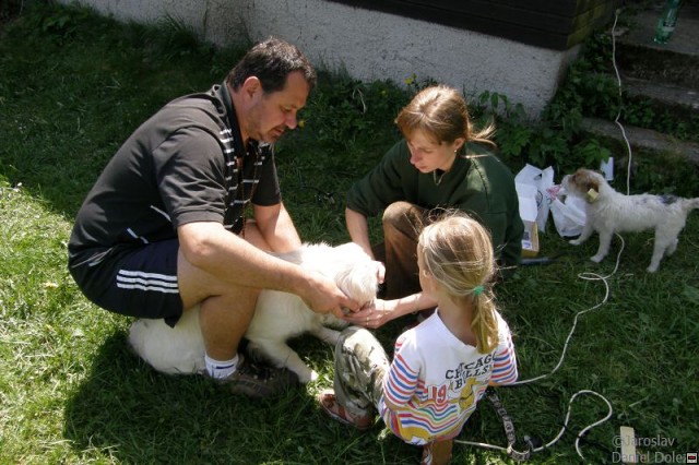 img00016.jpg