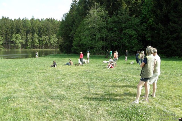 img00018.jpg