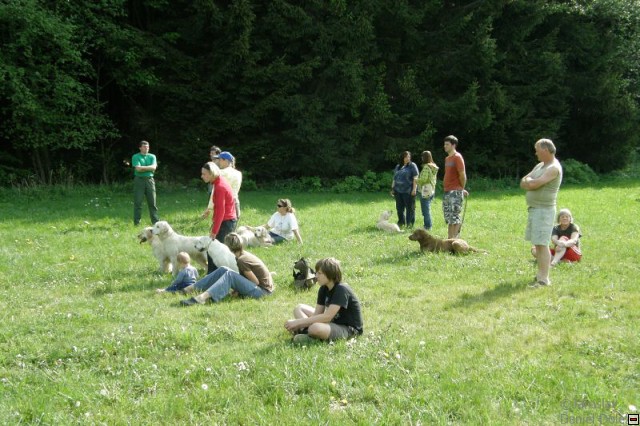 img00019.jpg