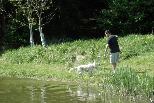 img00041.jpg