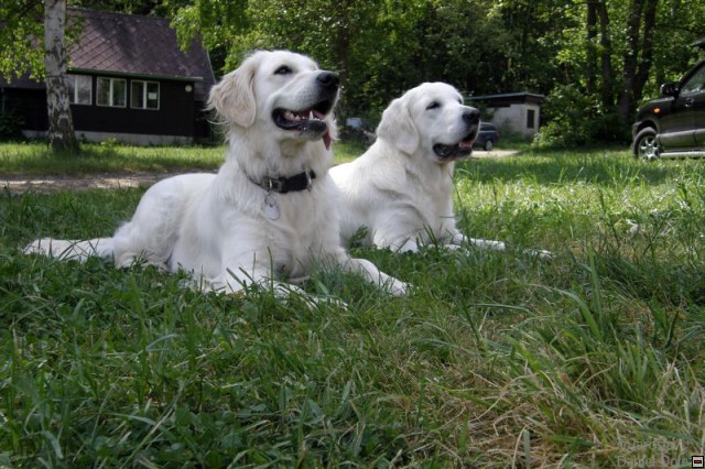 img00045.jpg