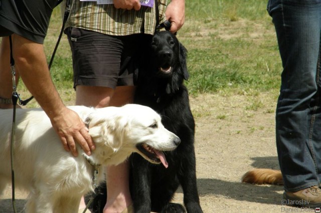 img00051.jpg