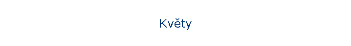 Kvty